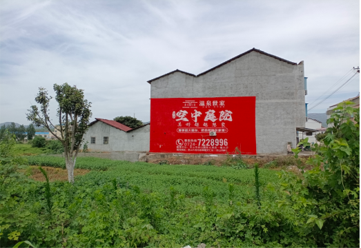 田林做墙体广告的意义