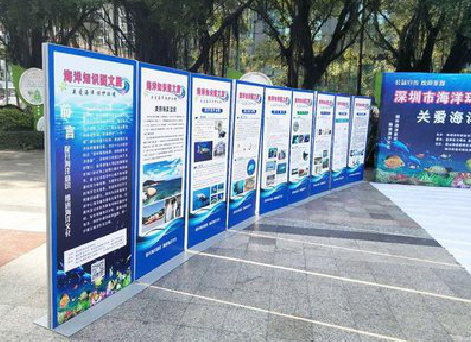 田林KT板的种类和知识。